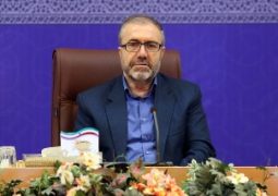 ذوالفقاری: ایران با حذف روادید عراق موافق است