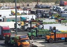 صادرات ۵ محصول کشاورزی به عراق ممنوع شد