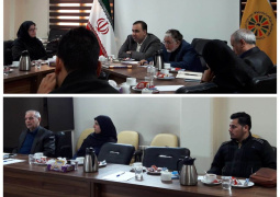 اولین جلسه کمیسیون دارو، تجهیزات پزشکی و گردشگری سلامت اتاق مشترک بازرگانی ایران و عراق برگزار شد